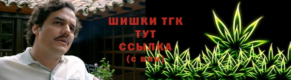 ешки Мегион