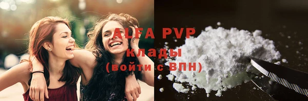 крисы Абаза