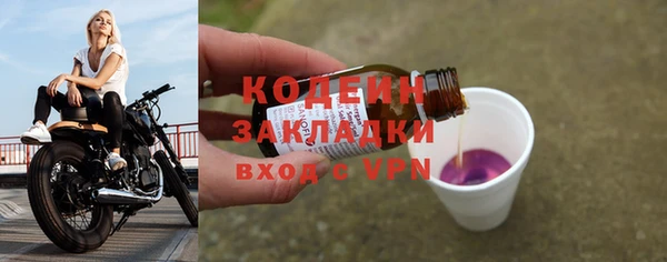 крисы Абаза