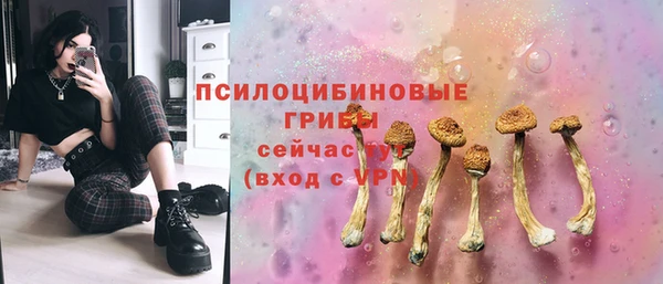 ешки Мегион